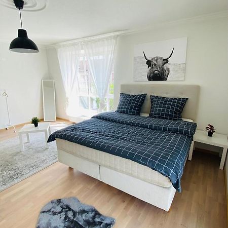 Luxury 3-Room Apartment ドレスデン エクステリア 写真