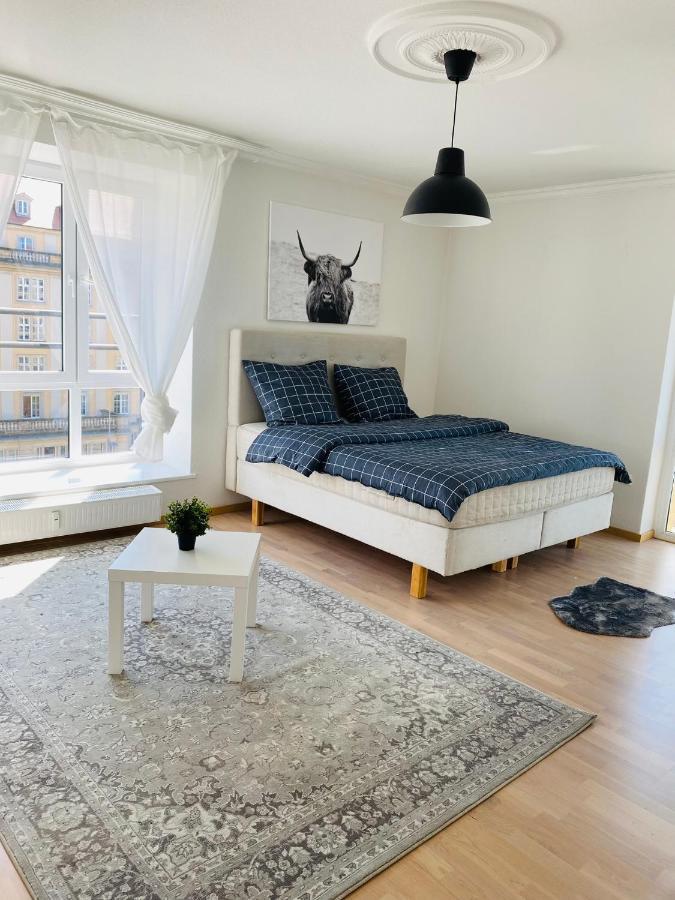 Luxury 3-Room Apartment ドレスデン エクステリア 写真