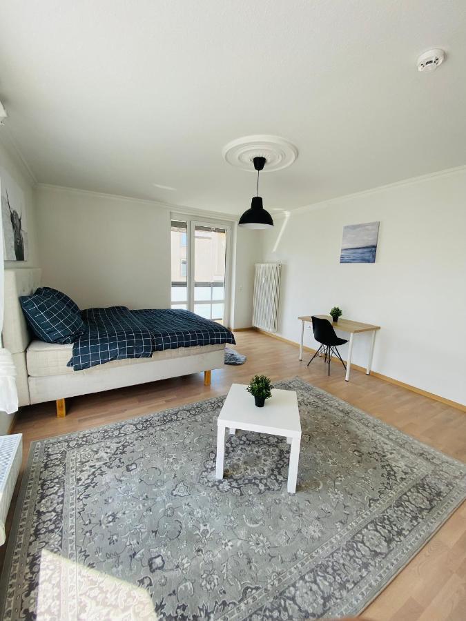 Luxury 3-Room Apartment ドレスデン エクステリア 写真