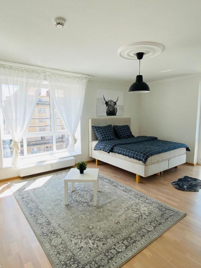 Luxury 3-Room Apartment ドレスデン エクステリア 写真